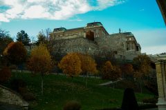 DSC02294-scaled